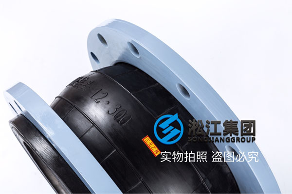四川電廠脫硫循環(huán)泵安裝橡膠膨脹節(jié)